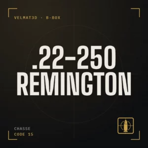 Boîte à cartouches .22-250 Remington - VelMat3D