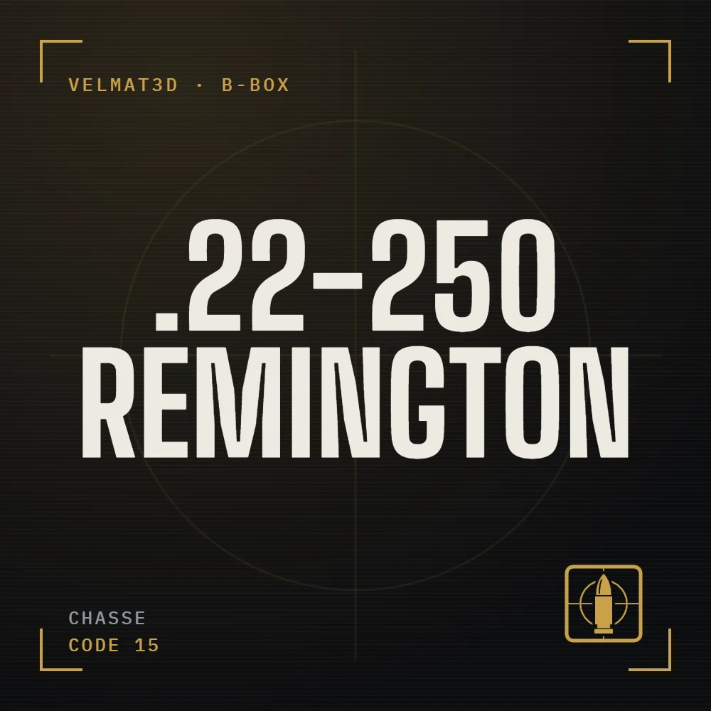 Boîte à cartouches .22-250 Remington - VelMat3D
