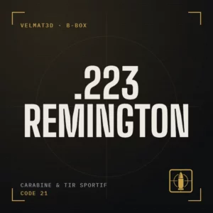 Boîte à cartouches .223 Remington - VelMat3D