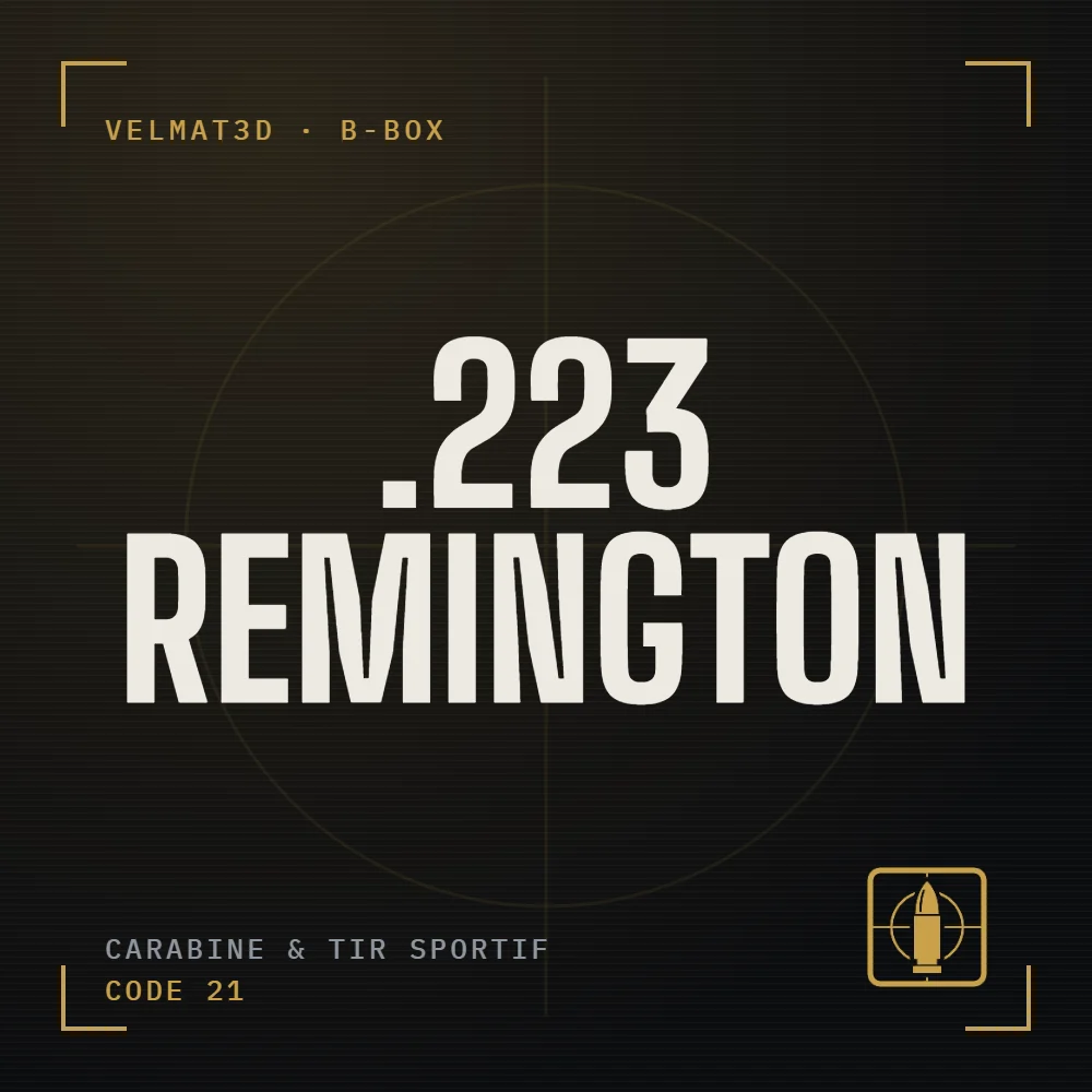 Boîte à cartouches .223 Remington - VelMat3D