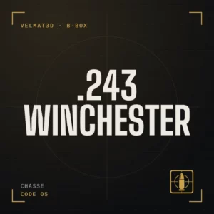 Boîte à cartouches .243 Winchester - VelMat3D
