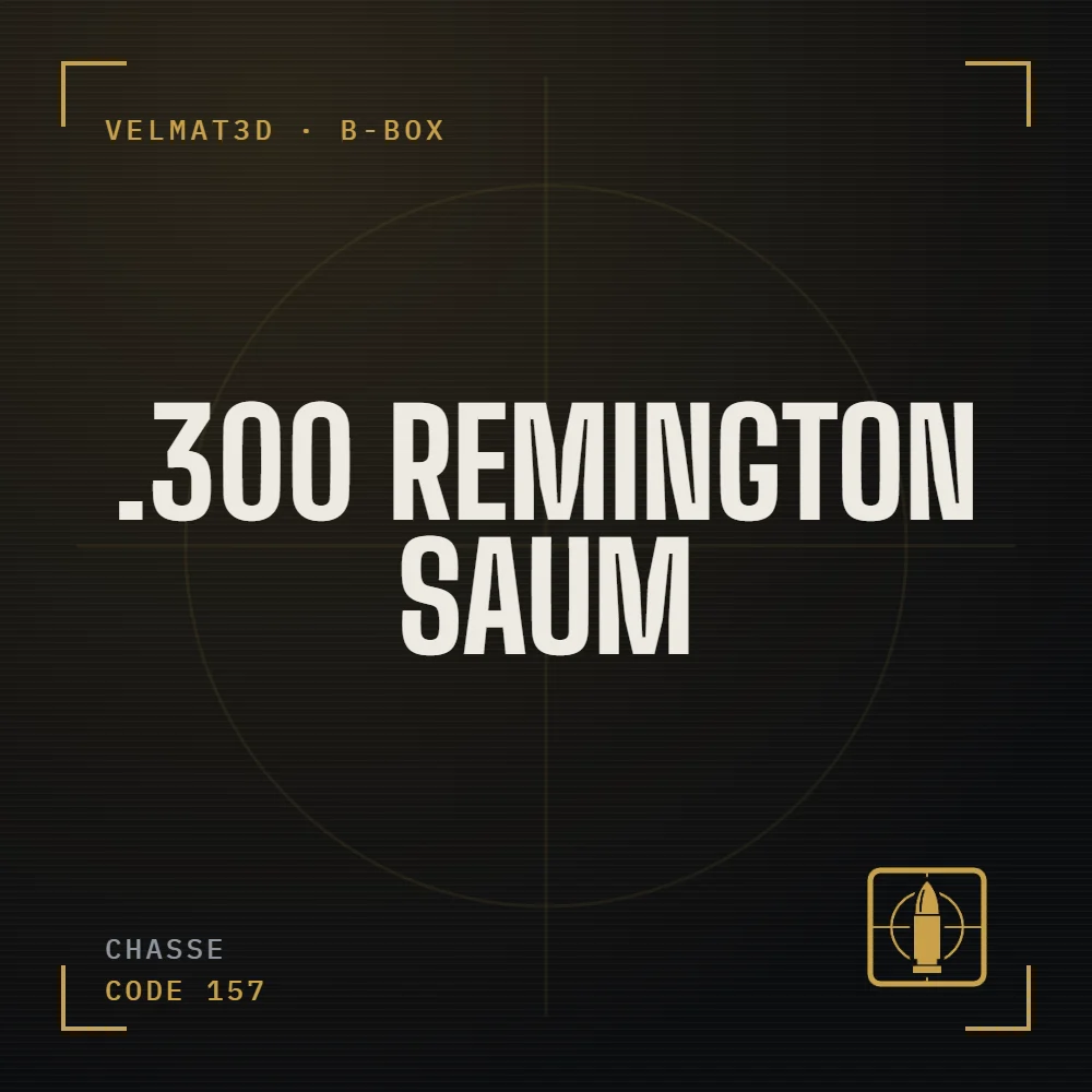 Boîte à cartouches .300 Remington SAUM - VelMat3D