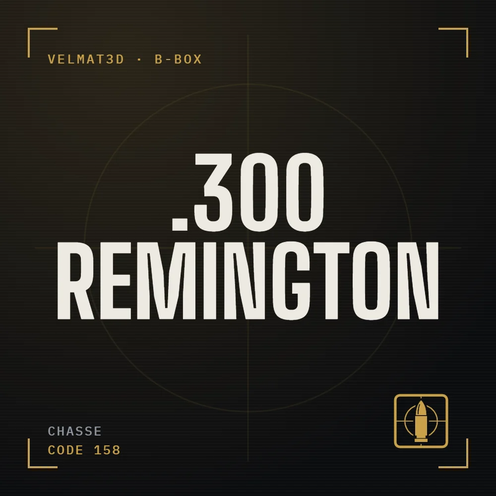 Boîte à cartouches .300 Remington - VelMat3D
