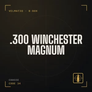 Boîte à cartouches .300 Winchester Magnum - VelMat3D