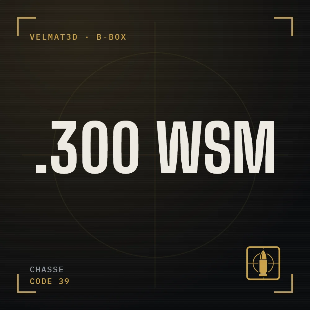 Boîte à cartouches .300 WSM - VelMat3D