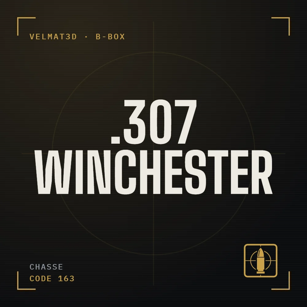 Boîte à cartouches .307 Winchester - VelMat3D
